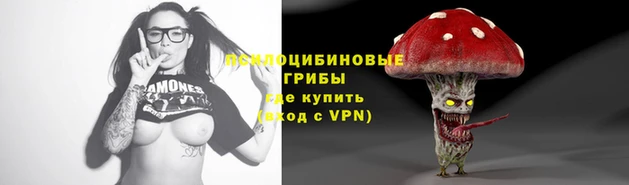дмт Арсеньев