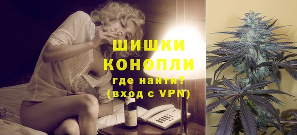 дмт Арсеньев