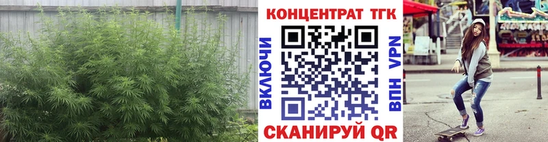 ТГК концентрат  дарк нет Telegram  Сухой Лог  где можно купить  