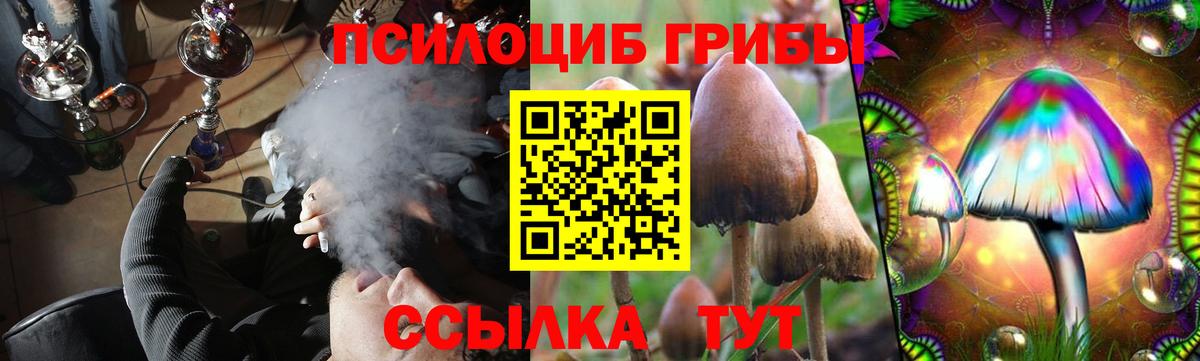 Галлюциногенные грибы Psilocybe  Вход с VPN  наркотики  Сухой Лог  Галлюциногенные грибы мицелий 